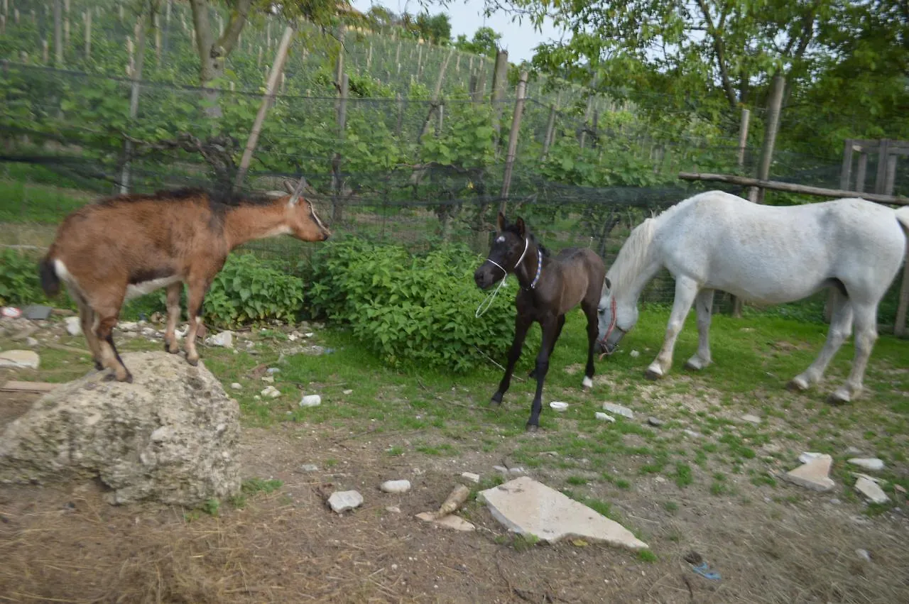 Azienda Agricola Campion Valdobbiadene Farm stay