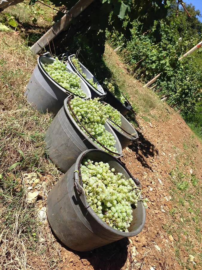 Azienda Agricola Campion Valdobbiadene 0*,