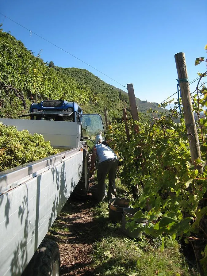 Azienda Agricola Campion Valdobbiadene 0*,