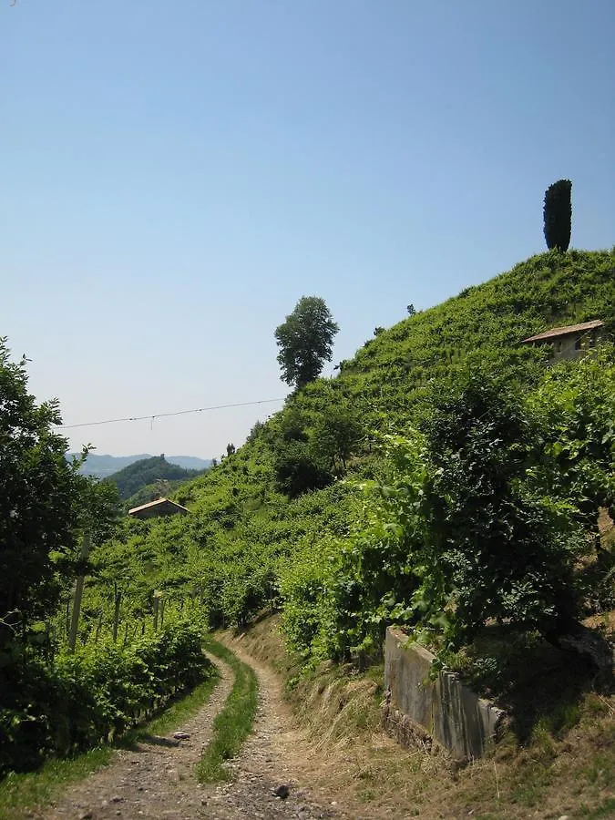 Farma Azienda Agricola Campion Valdobbiadene